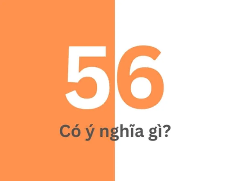 Số 56 có ý nghĩa gì?